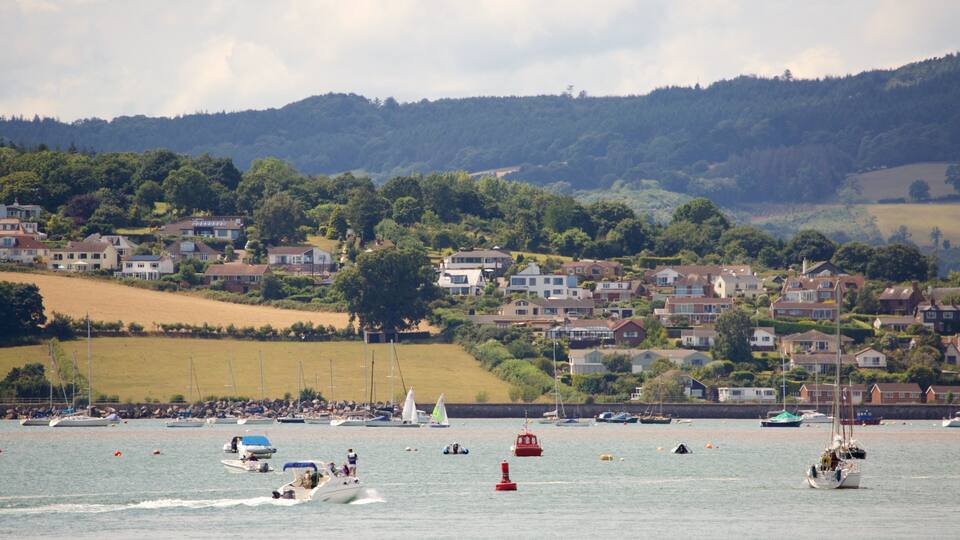 A coastal town with houses, boats, and sailboats on the water.