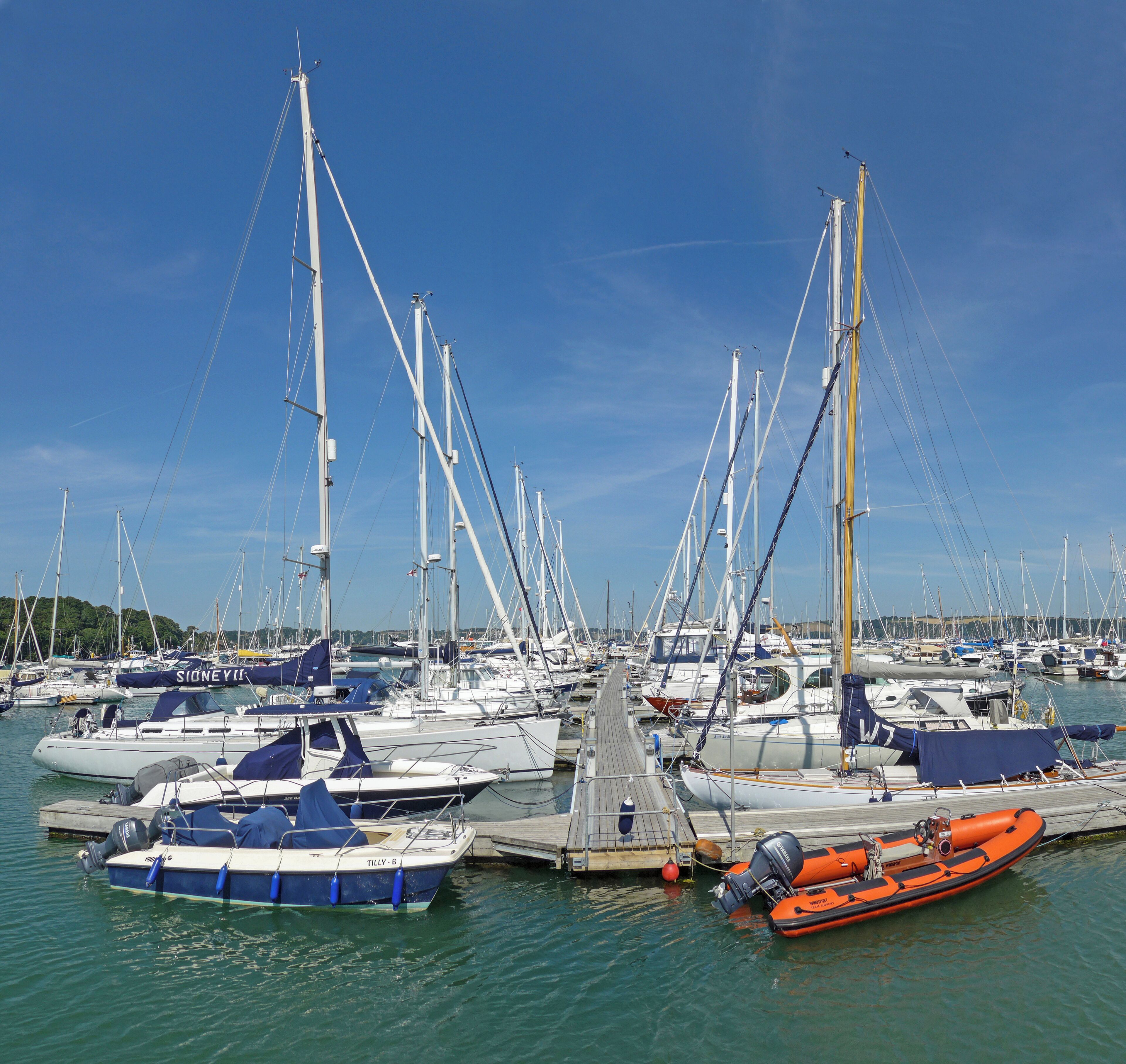 A marina with numerous sailboats docked.