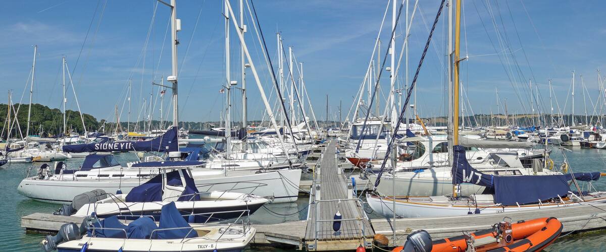 A marina with numerous sailboats docked.