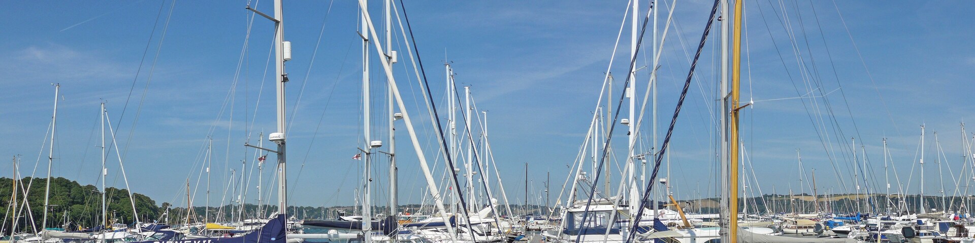 A marina with numerous sailboats docked.
