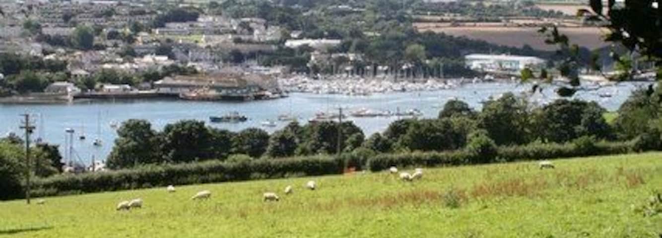 Pasture above Little Falmouth Falmouth Yacht Marina on the other side of the Penryn River.