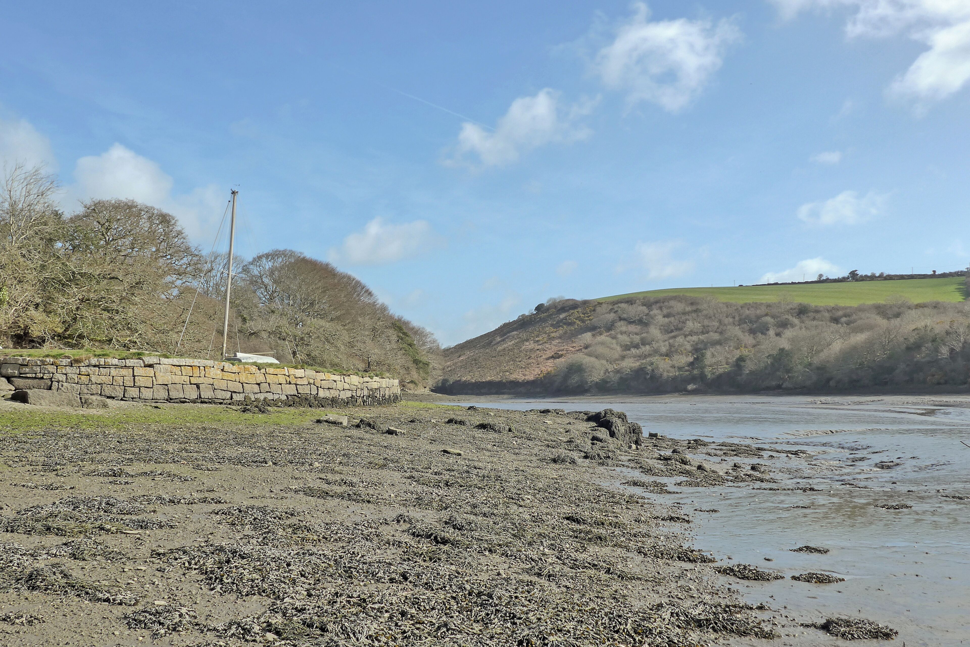 A rocky beach with a stone wall and a hill in the background.