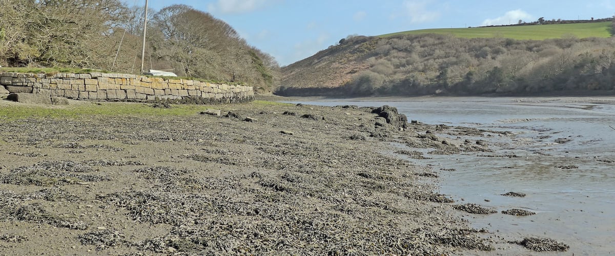 A rocky beach with a stone wall and a hill in the background.