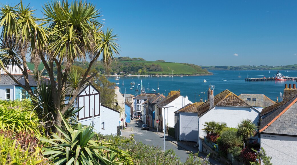 Views Across the Bay and Harbour