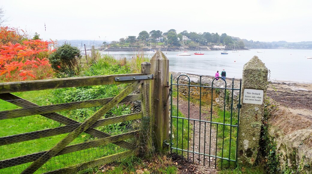 Weir Orchard tidal footpath.