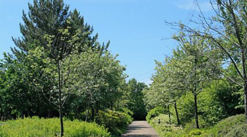 Typical pedestrian walkway in Solent Business Park The park is well landscaped and has at least five lakes in it.