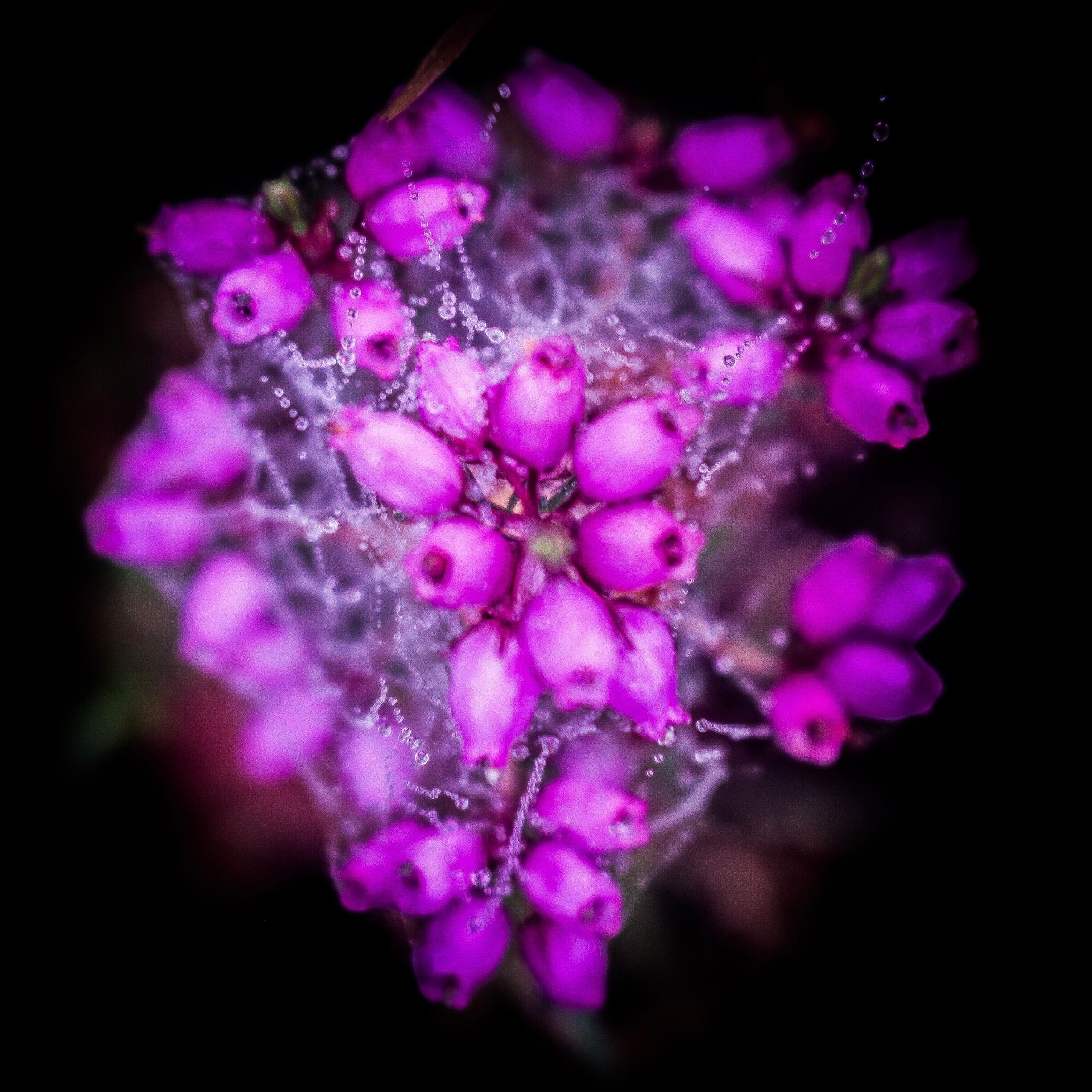 Autumn mornings give simple beauty