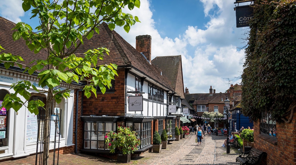 P7ECG2 Shops and cafes in Lion and Lamb Yard, Farnham, Surrey. England, UK