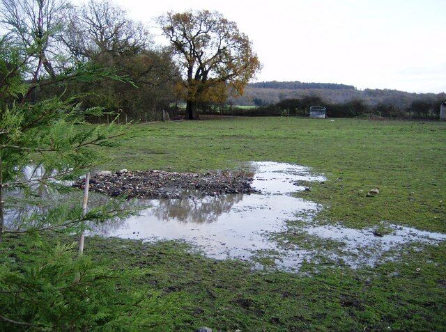 Poor pasture The footpath towards Bentley station goes across this field. There were three horses in the field but the ground was quite wet.