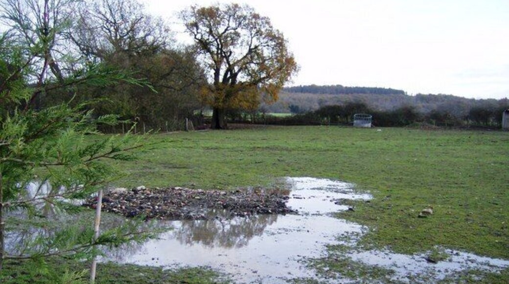 Poor pasture The footpath towards Bentley station goes across this field. There were three horses in the field but the ground was quite wet.