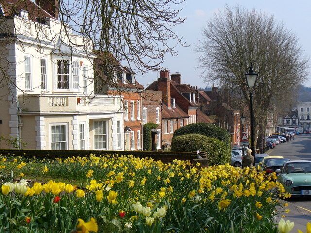 A street lined with historic buildings, a row of parked cars, and a field of yellow flowers.