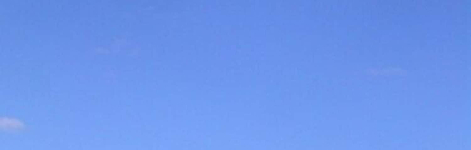 St Swithun's Way, near Bentley All the constituents of a child's painting of a landscape are here: blue sky, fluffy white clouds, a tree and green grass (only I don't think it's a hay crop). It has to be high summer, but actually it's 1 November... Taken about ten minutes before 271174 at roughly 2pm.