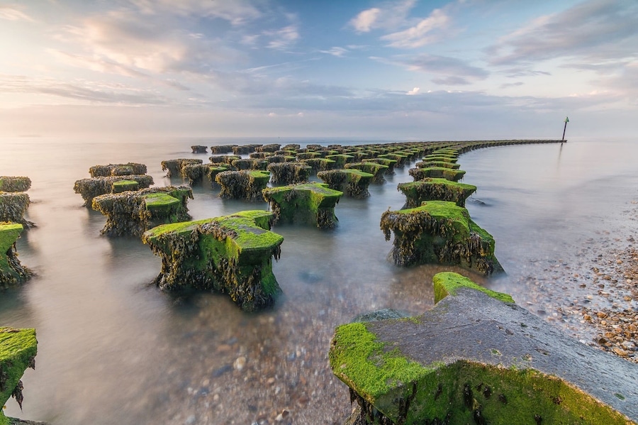 Groined at felixstowe