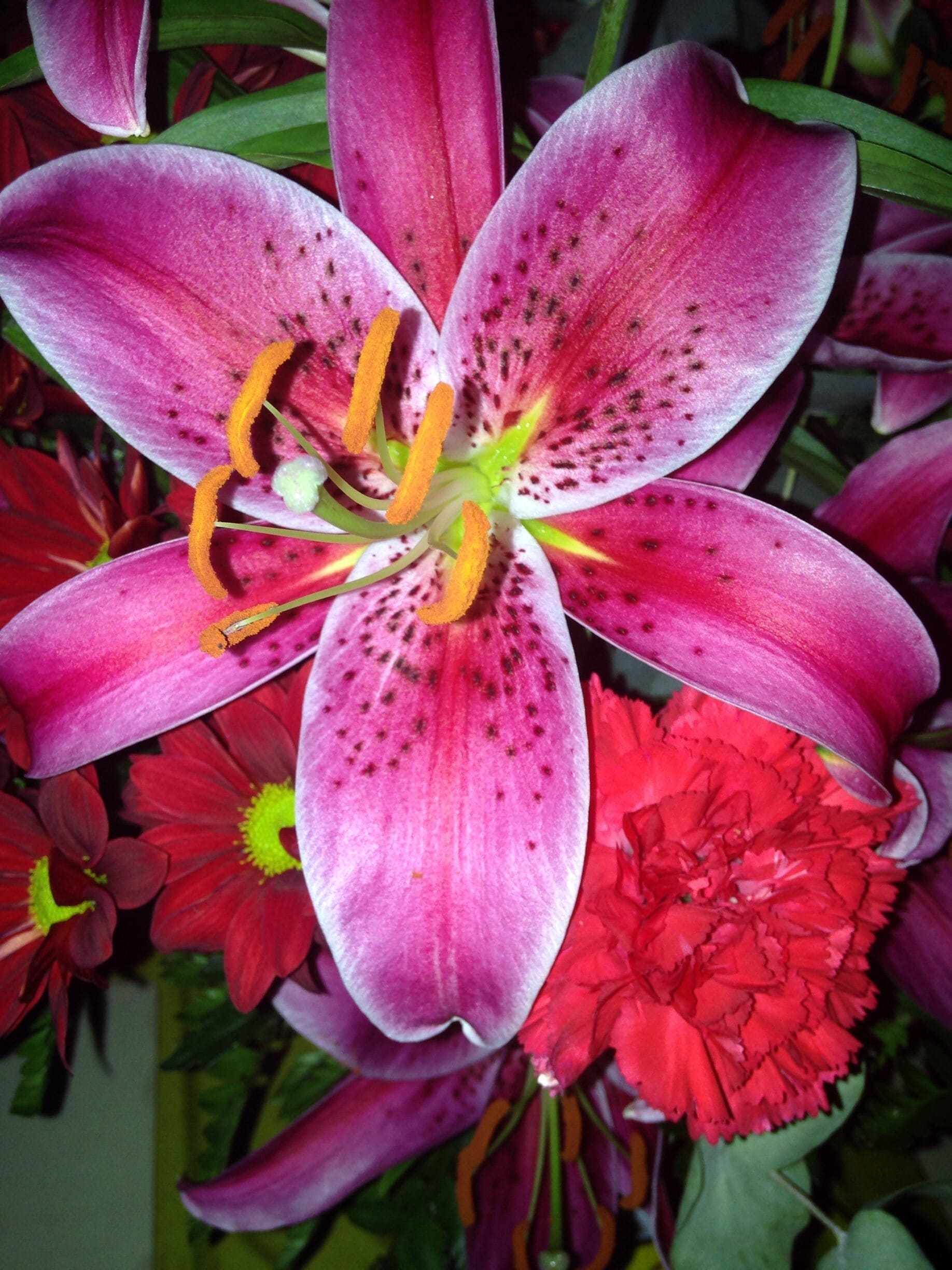 Such a beautiful pink!