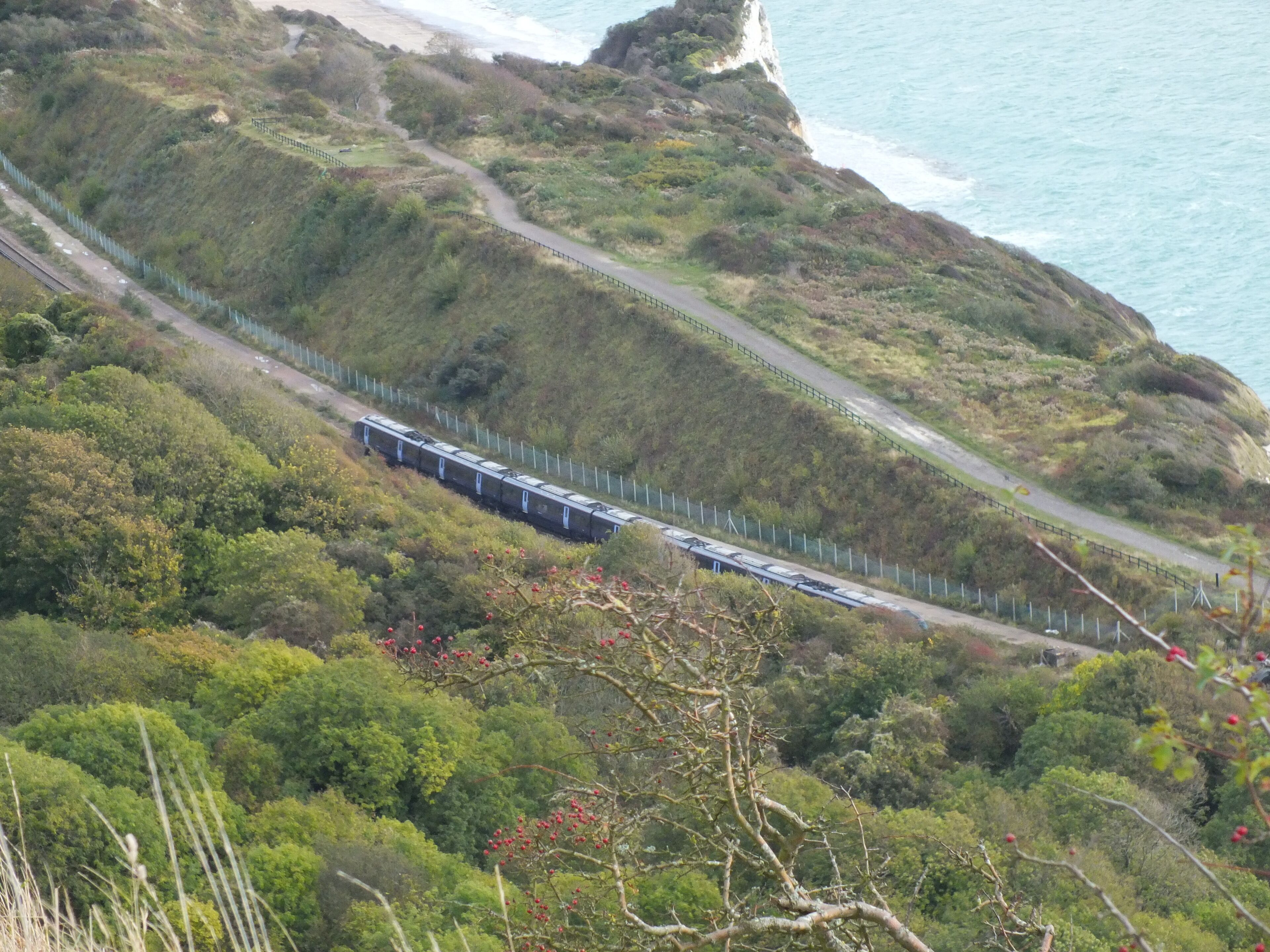 A train on a coastal track surrounded by lush greenery and cliffs.