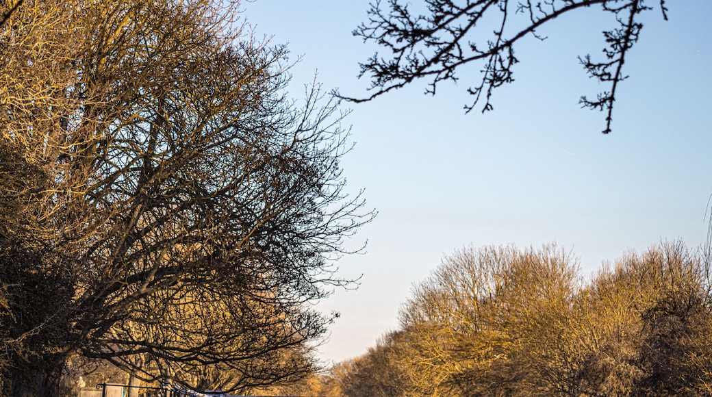 The Royal Military Canal in Hythe during the golden hour, Kent, England