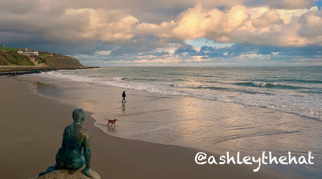 Autumn is a great time for the beach. Head down to Sunny Sands by Folkestone harbour for treats like this.
#trovember #outdoors #beach #clouds #reflection #sea