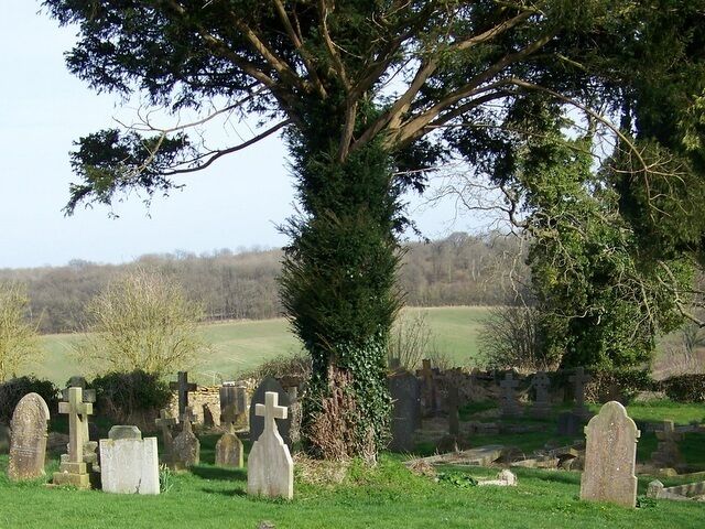 Churchyard, St Michael's and All Angels Church Looking across the churchyard towards Buckland Wood.