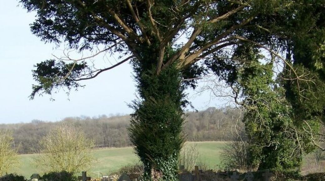 Churchyard, St Michael's and All Angels Church Looking across the churchyard towards Buckland Wood.