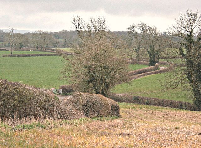 Due south to Great Elm A pleasant walk, not much more that a mile along this lane gets us to Great Elm.