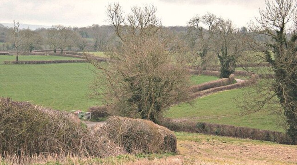 Due south to Great Elm A pleasant walk, not much more that a mile along this lane gets us to Great Elm.