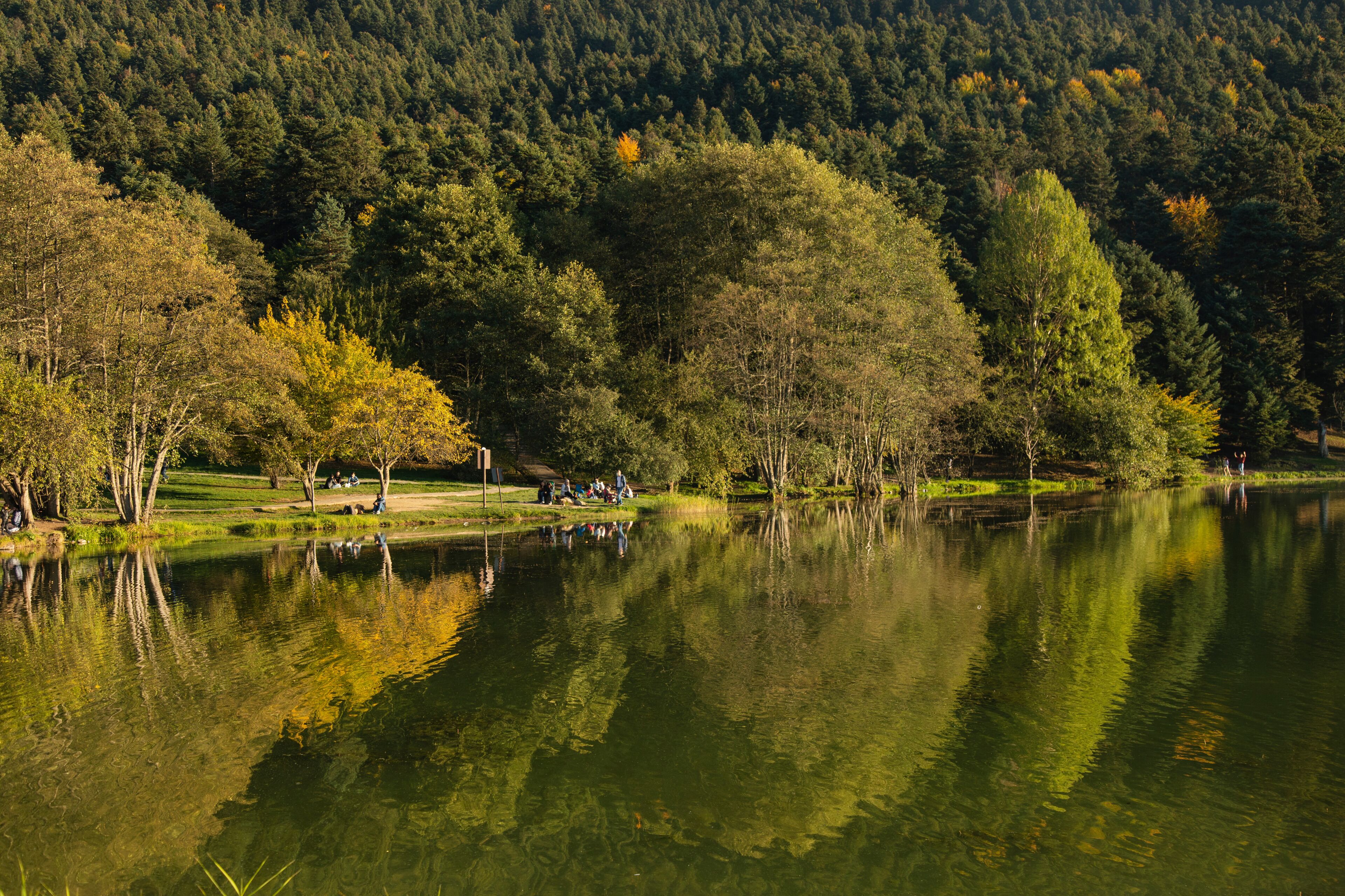 Bolu