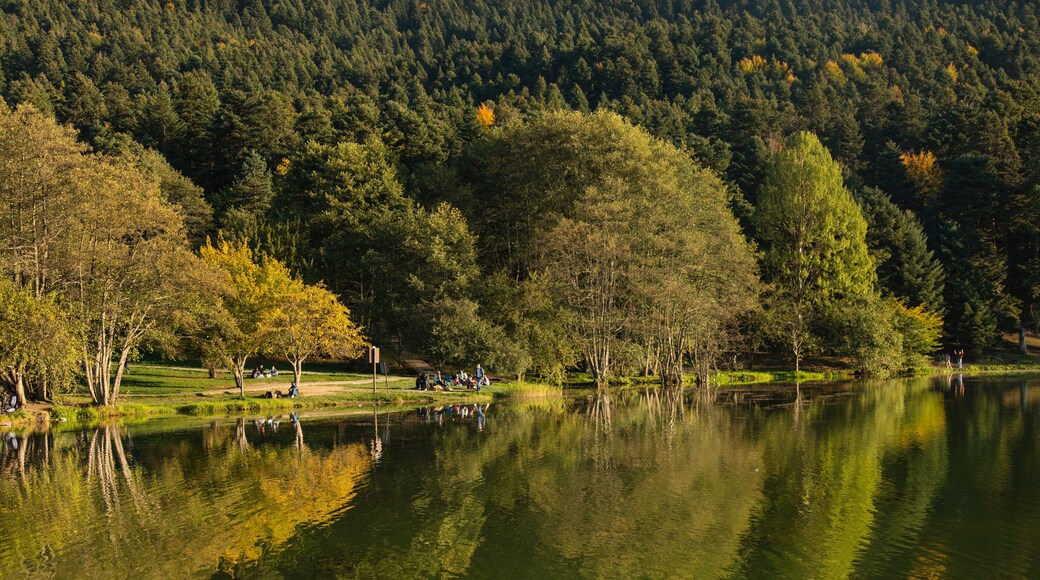 Bolu