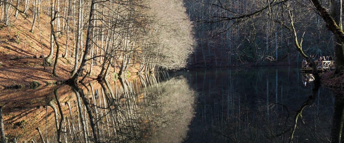 The park is almost like a heaven on earth with all beeches, oaks, mahoganies, alders, elms, fir trees, inden trees embrace the environment on surface. The land covered with many kinds of different trees and herbs.
Yedigoller National Park is an amazingly important place for those who interested in lake fishing, hiking and camping! #LifeAtExpediaGroup