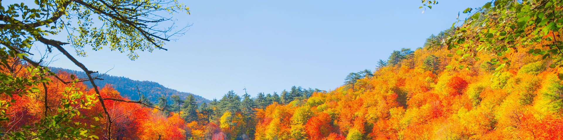 Autumn landscape in (seven lakes) Yedigoller Park Bolu, Turkey