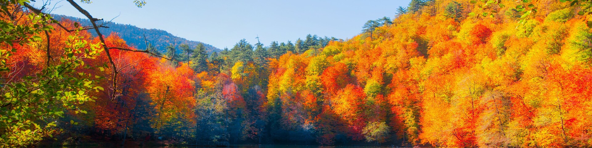 Autumn landscape in (seven lakes) Yedigoller Park Bolu, Turkey