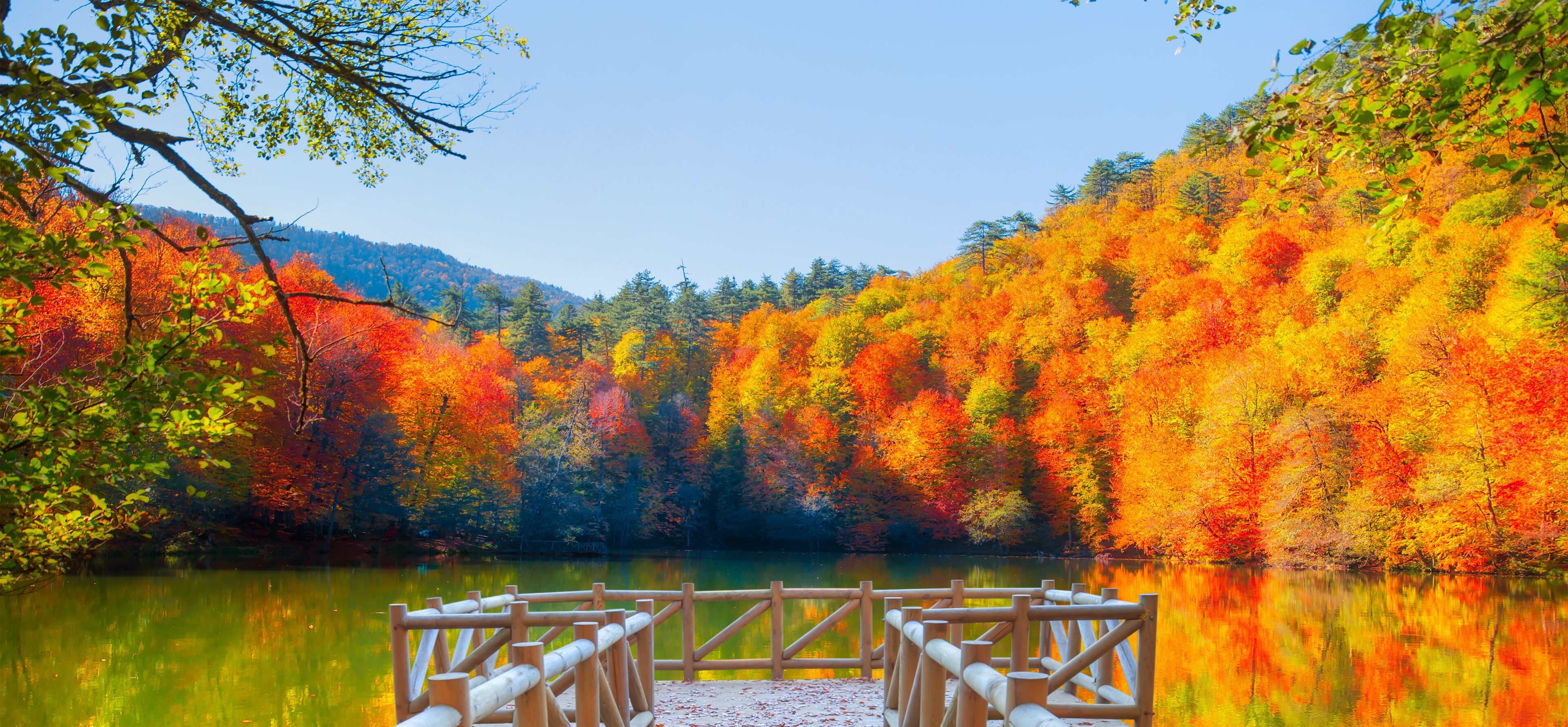 A wooden dock extending into a calm lake surrounded by vibrant autumn foliage.