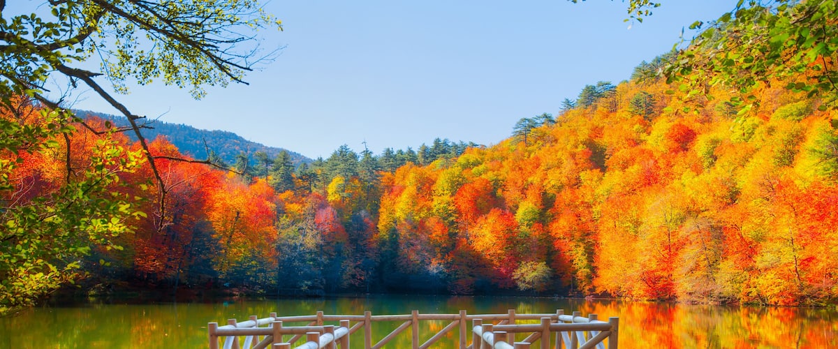 A wooden dock extending into a calm lake surrounded by vibrant autumn foliage.