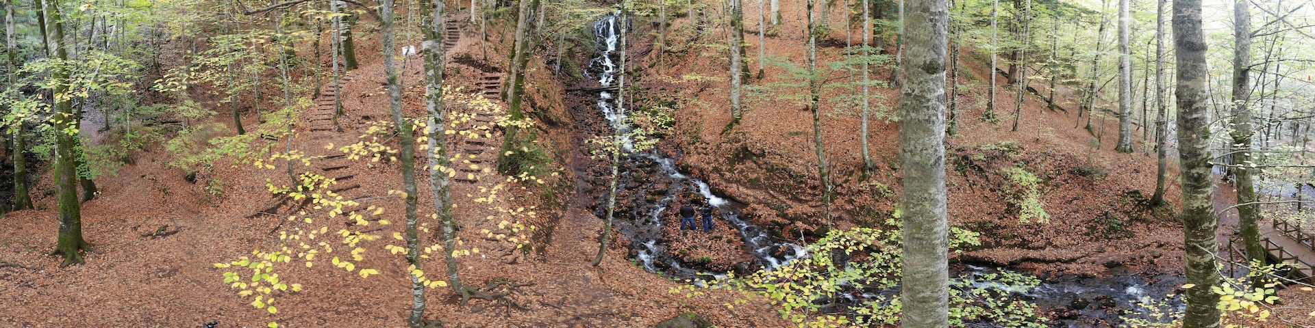 Aerial view of Bolu Yedigöller National Park.