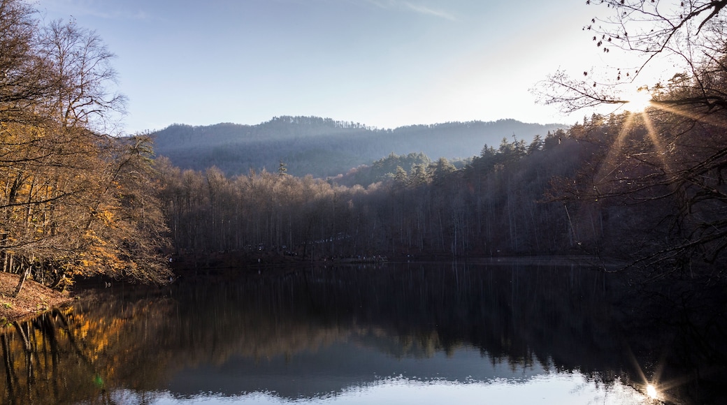 The view is amazingly enchanting from Kapankaya in the Yedigoller National Park. From that point with a little walking you can view the deer protection area. While you do your camping, trekking and photographing you could accommodate yourself in bungalows and guesthouses which are in the national park. The trees are painted with the most impressive red, yellow and green colors in autumn. Therefore autumn may be the best season to visit the national park. #LifeAtExpediaGroup