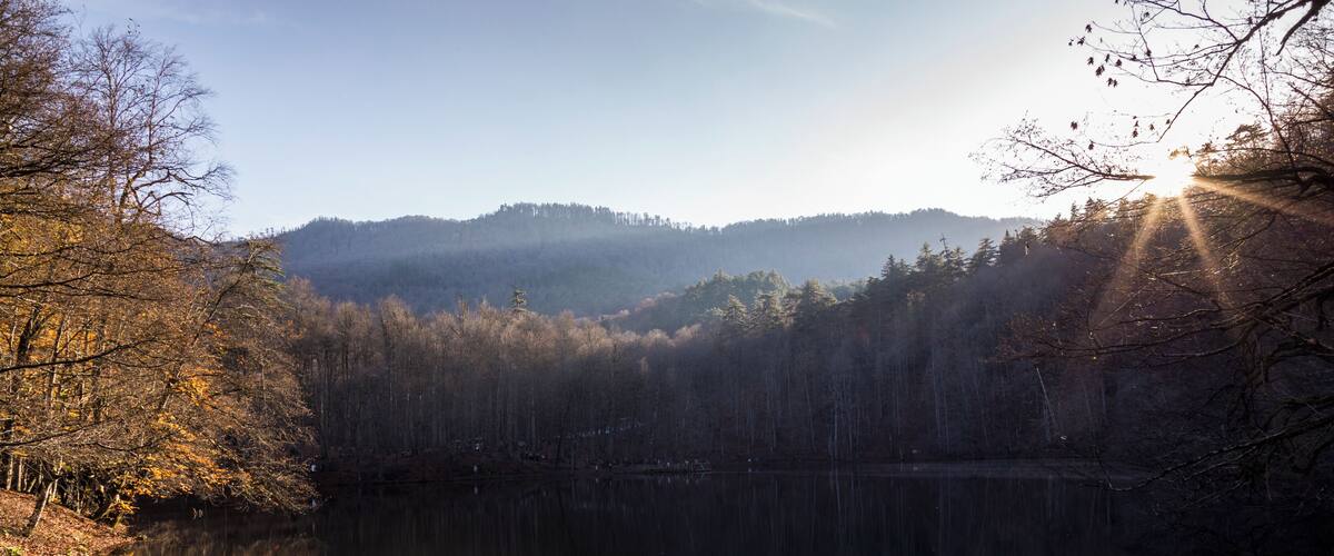 A calm lake surrounded by autumn trees and a misty mountain in the background.