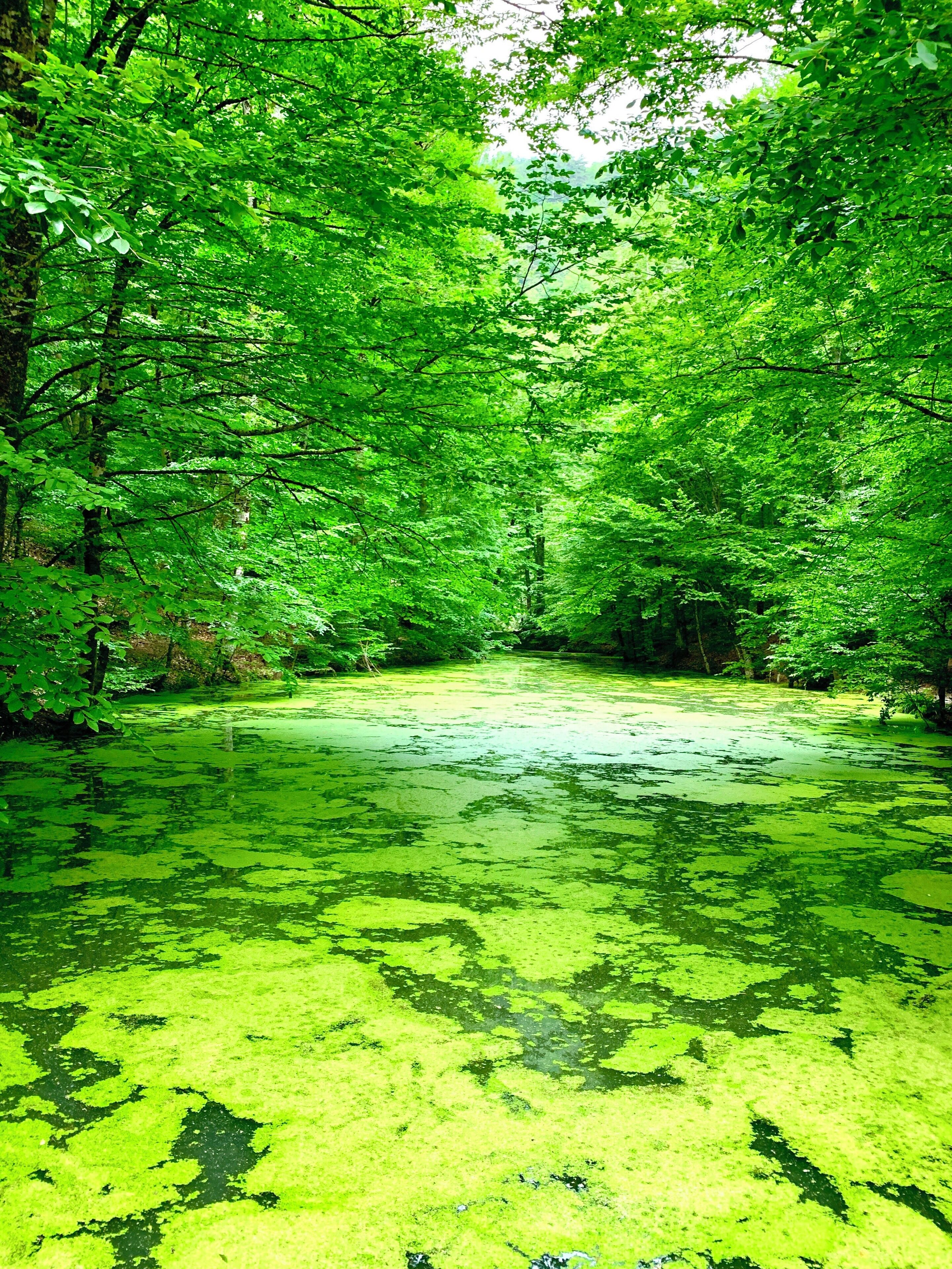 #nature photo contest 
#turkey #nature #nationalpark