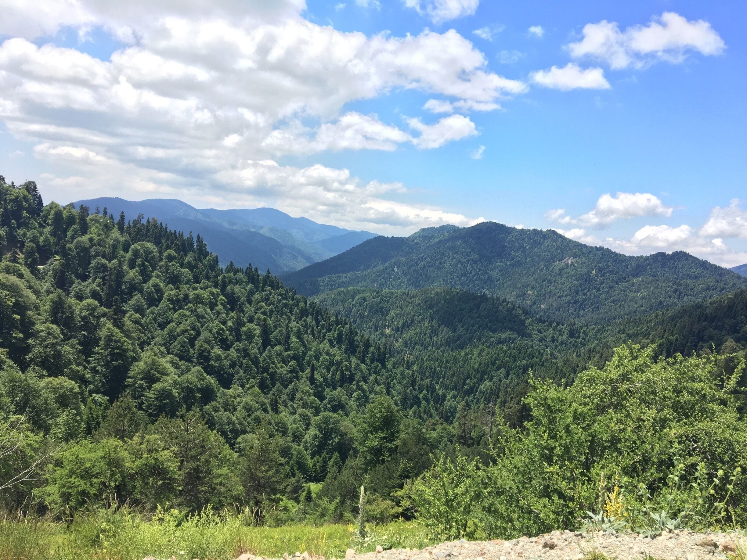 Destination sunshine 