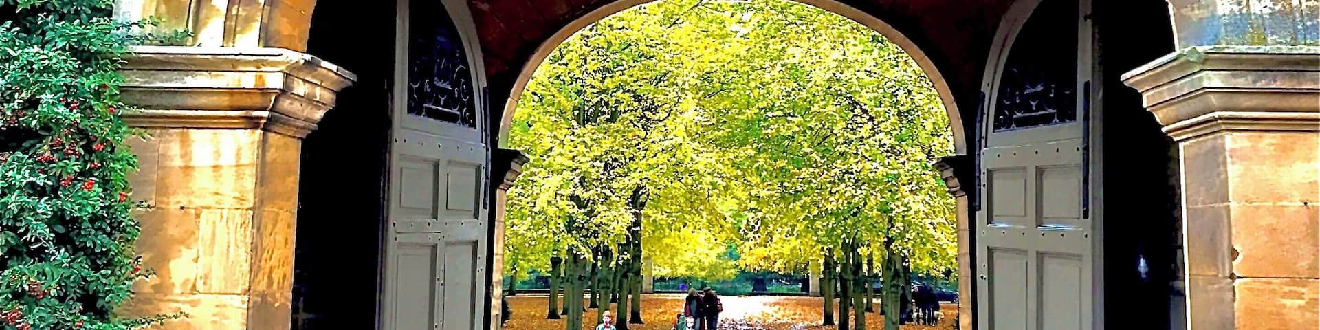 #MyBackYard🇦🇽😘🍂