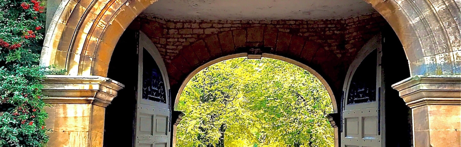 #MyBackYard🇦🇽😘🍂