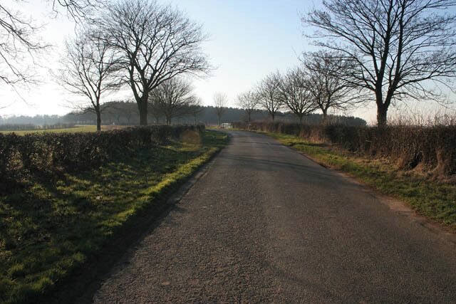 Hall Road near Buckminster. Looking towards Buckminster from the view point in 703028, New Rookery wood on the horizon.