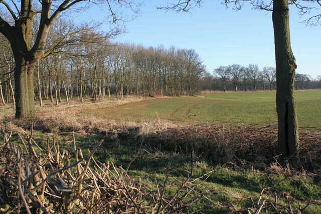 Farmland off Hall Road. Looking south from the viewpoint in 703028.