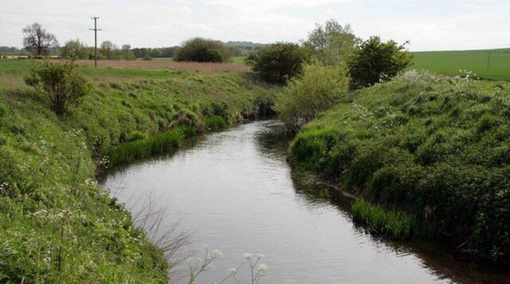 The river Witham nr Syston Looking towards Grantham