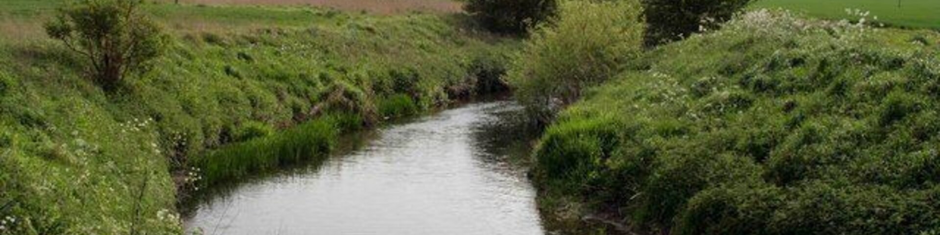 The river Witham nr Syston Looking towards Grantham