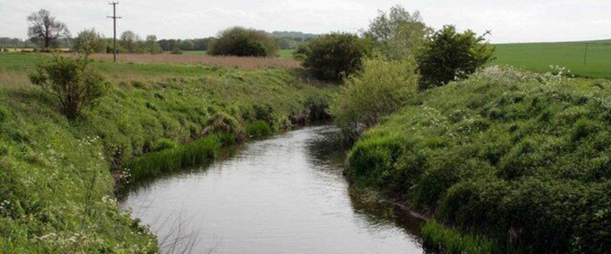 A narrow waterway flanked by lush greenery and a distant power line.