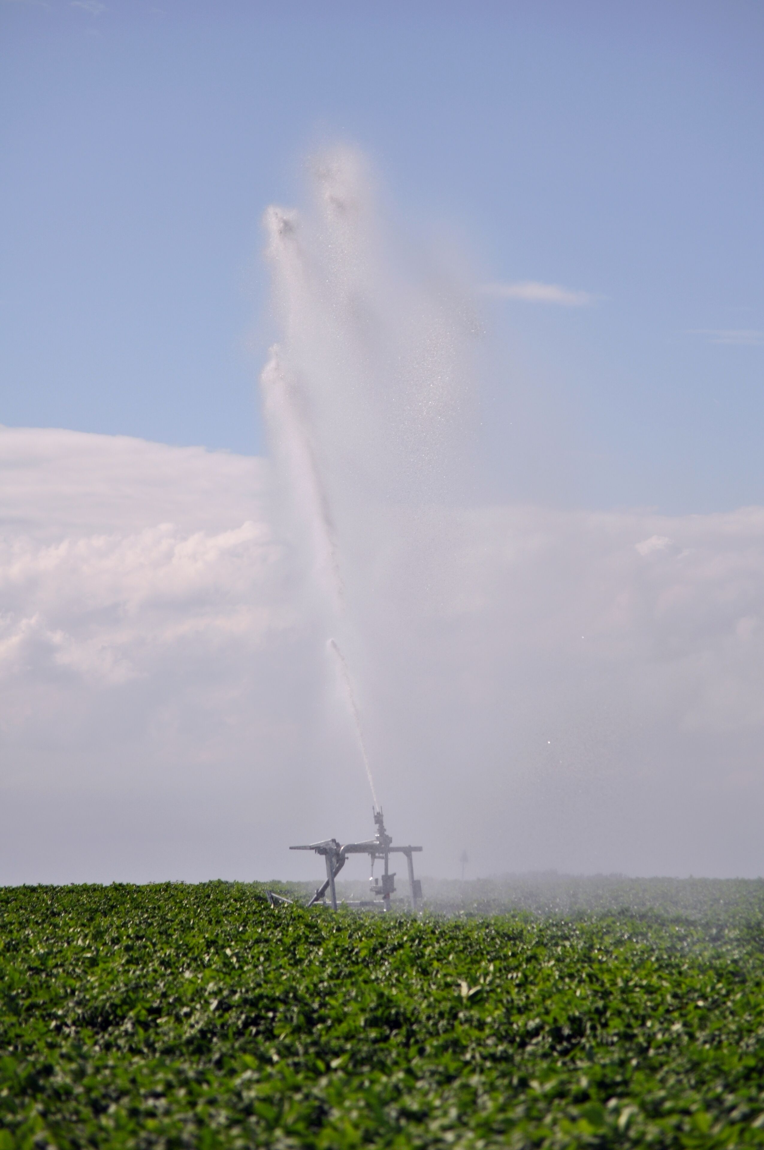 A field with a sprinkler system spraying water.