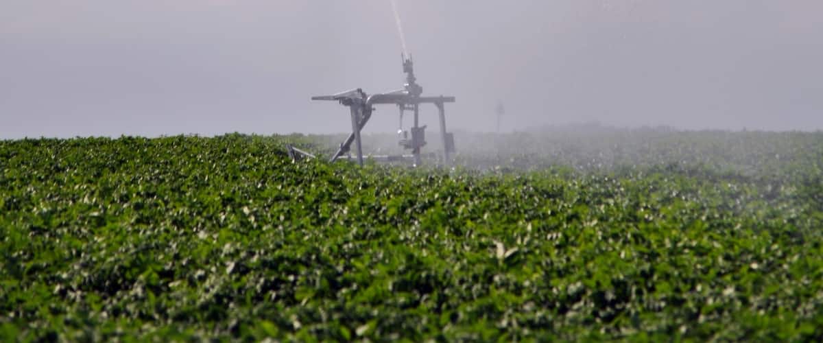 A field with a sprinkler system spraying water.