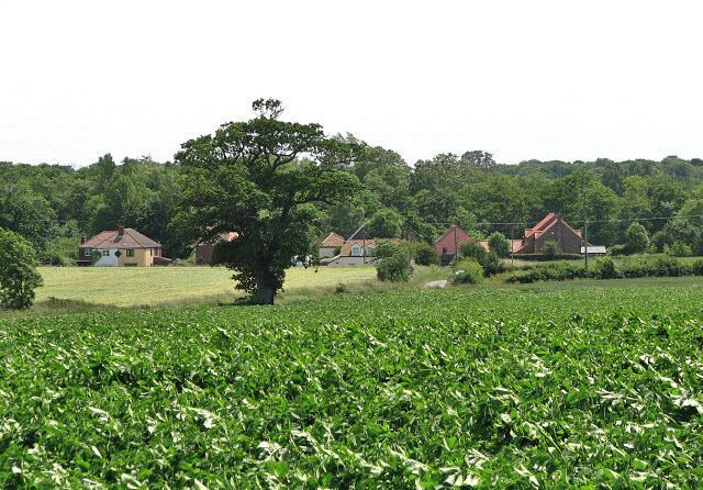Houses at Narrowgate Corner. Viewed from St George's churchyard > 855329.