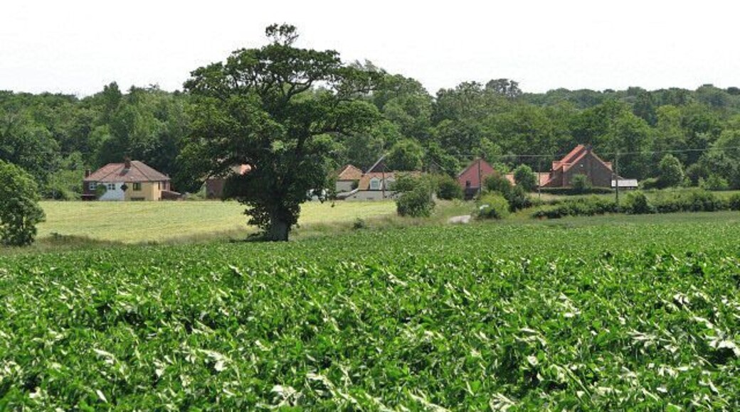 Houses at Narrowgate Corner. Viewed from St George's churchyard > 855329.