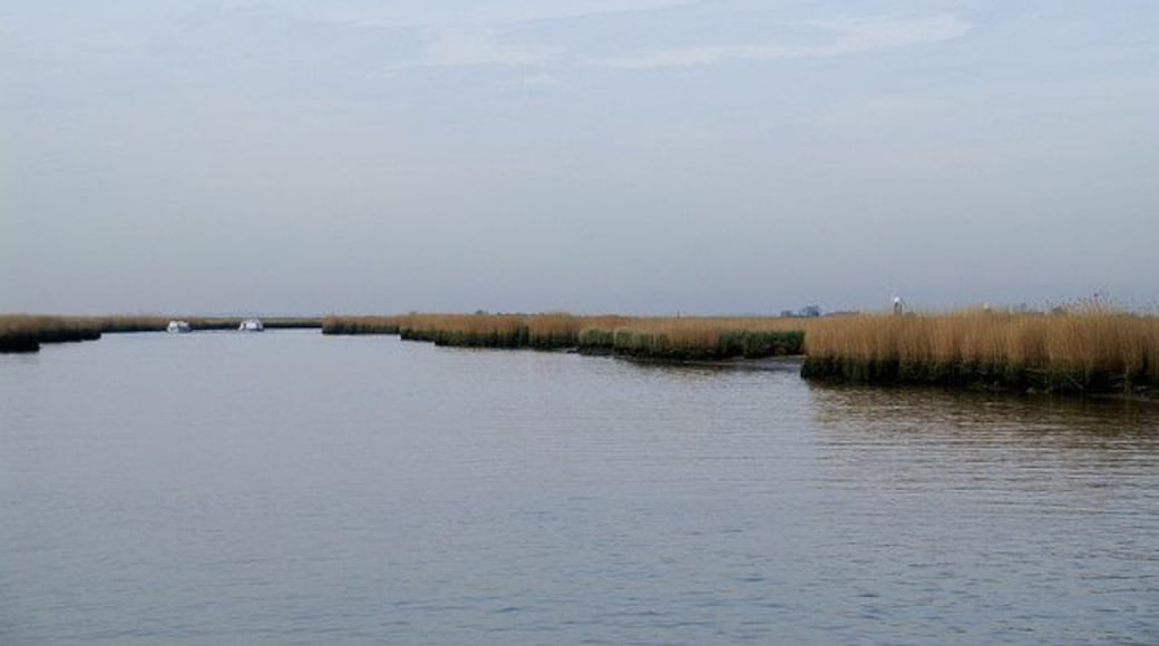 River Waveney View downstream below Caldecott drainage mill. On the right skyline are Berney Arms and Langley Detached mills.