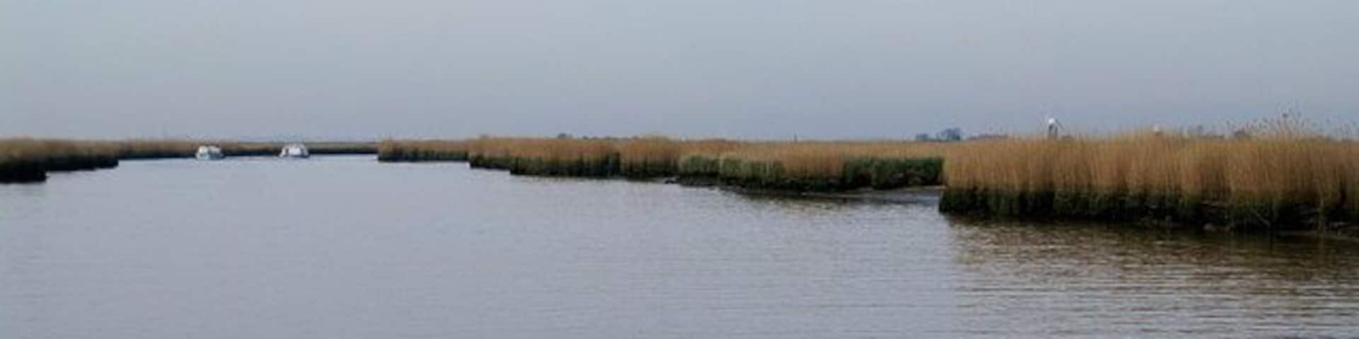 River Waveney View downstream below Caldecott drainage mill. On the right skyline are Berney Arms and Langley Detached mills.